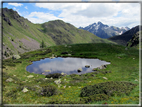 foto Malga Val Cion